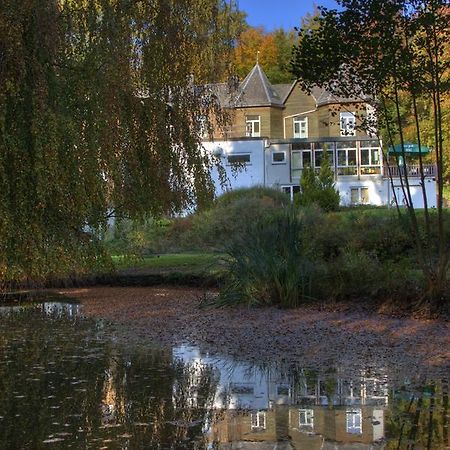 Parkhotel Villa Des Effats Вьельсальм Экстерьер фото
