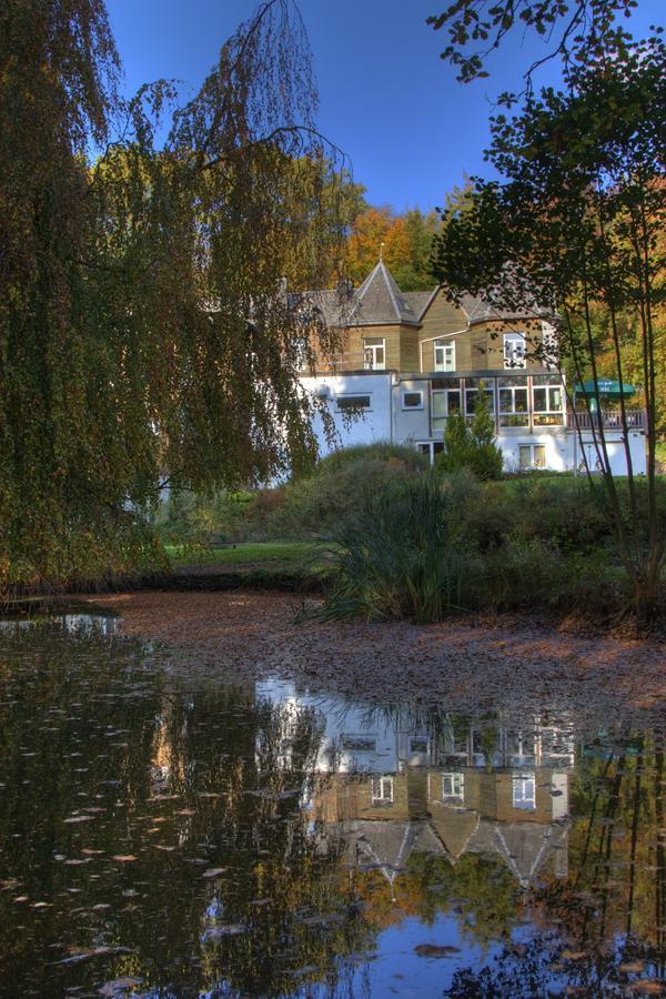 Parkhotel Villa Des Effats Вьельсальм Экстерьер фото